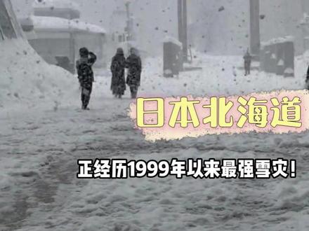 北海道看雪计划暂停,保命要紧! #北海道暴雪 #日本 #雪灾 #热点新闻事件