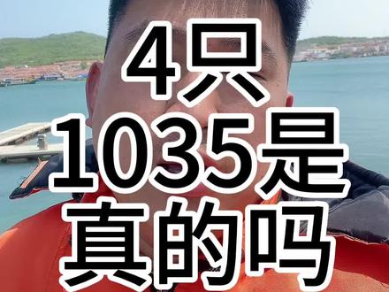 4只皮皮虾1035的真相#海鲜#鱼#大虾