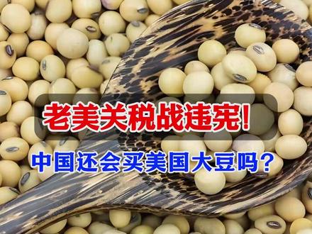 关税战违宪!中国还会买美国大豆吗? #关税 #经济 #贸易 #大豆