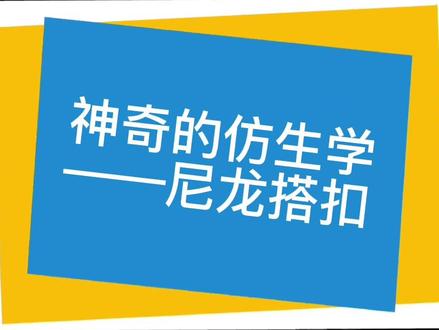 神奇的防生学——尼龙搭扣#仿生学 #知识百科 #苍耳