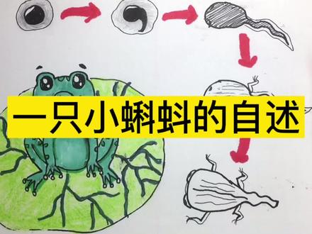 小蝌蚪变身青蛙的过程,你知道有哪些 #简笔画 #儿童简笔画 #手绘 #简笔画的日常 #灵魂画手 #日常瞎画 #想画就画 #创意美术 #创意简笔画 #创意