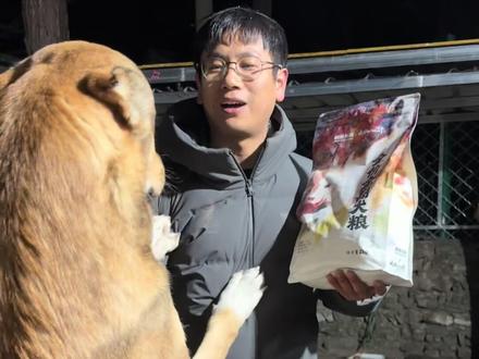 经历了一年多的筹备,明亮与狗和长安二十四计联名产品终于上了!现在双12期间直播间不仅有福利还有二十四周边吧唧哦!#骏良 #长安二十四计 #明亮与狗 #狗粮 #双12购物狂欢节