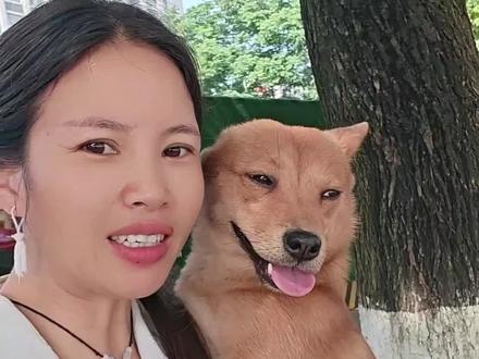 今天带着我们臭土豆回老家,去给外公上个香,
老爸生前最喜欢我们臭土豆了,之前每次回去都要抱着我们土豆,豆豆也只认我们两个,现在外公去陪外婆了,外公外婆要保佑我们所有人好好的#中华田园犬臭土豆#金脚臭土豆