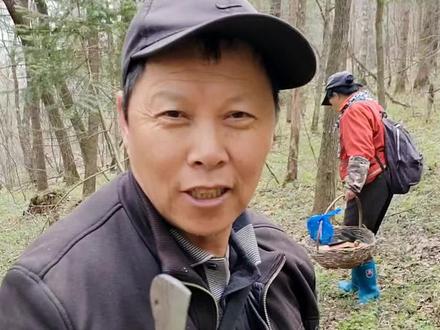 春天树反青的时候如果你进山没有水喝怎么办#