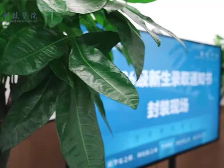 一纸通知书,一程新山海✨奔赴属于你的大学时光,未来从此启航!#河北科技学院#录取通知书