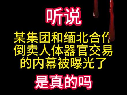 #小说 #小说推荐 #小说推文每日更新 #小说热门 #真实事件