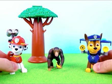 汪汪队:大猩猩袭击同伴 阿奇用超音波吼一招制胜 #汪汪队 #汪汪队立大功 #儿童玩具 #动画 #益智玩具#励志