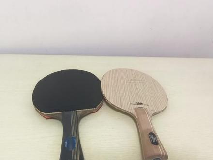 乒乓器材:斯蒂卡哪些型号有假货?哪些没有假货?一目了然
