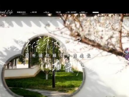 三大·前世今生缘【合剪】
#顾林#江柏#季乔#猫耳FM
音乐:遇萤
歌词排版:cyan阶绿