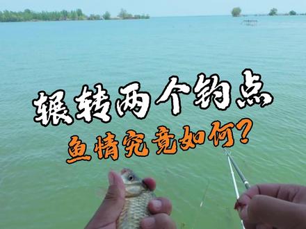 4月26骆马湖辗转两个钓点,鱼情究竟如何?随我一探究竟... #dou是钓鱼人 #原来钓鱼才是抖音运动顶流 #骆马湖钓鱼