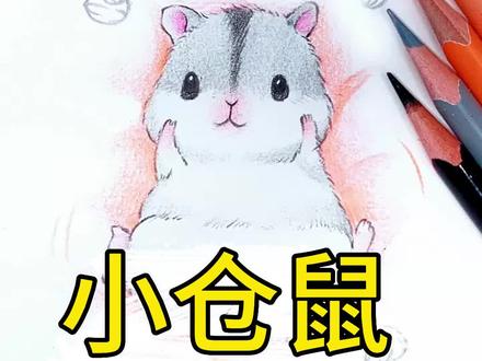 画一个可爱的小仓鼠#彩铅 #创意美术 #少儿美术教育 #手绘