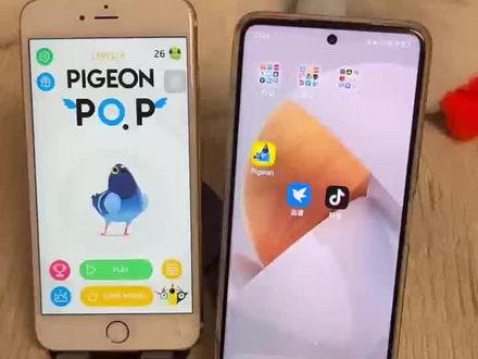 《彩虹小猪》简单下载疯狂的鸽子教程,闲暇时玩一局,轻松打发时间#pigeonpop#pigeon#Pigeonpop游戏#pigeon鸽子