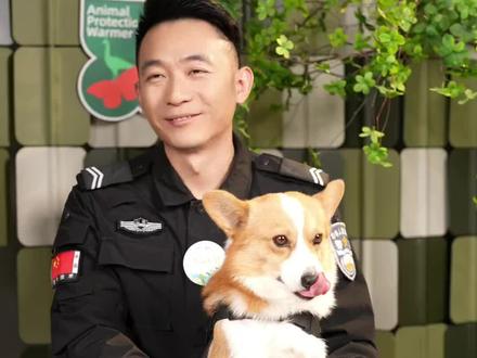 福仔偷懒怎么办?一招搞定!#柯警福仔 #万物可爱计划