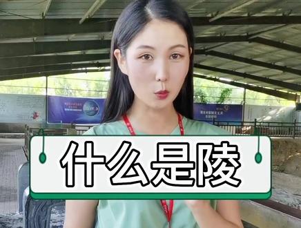 陵:本来你认识这个字,听我讲完就不认识啦😂