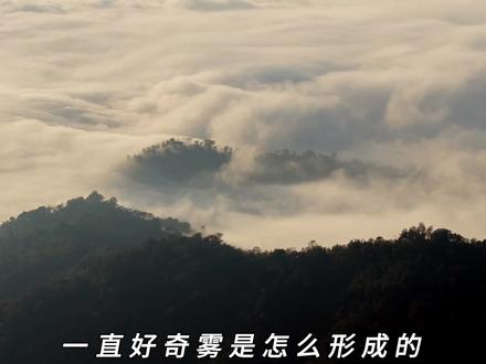 一直好奇雾是怎么形成的,看完这个视频你就明白了#科普 #知识前沿派对 #抖音年终知识大赏 #青年创作者成长计划 #2025年度科普大事件