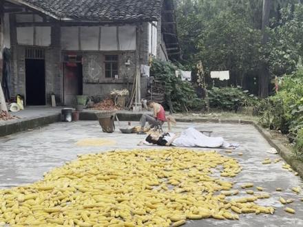 短短二十秒的时间,带你重温三十年前最熟悉的声音,这是多少80 90后的童年回忆,每一慕都很扎心,坚持到最后不哭算我输……#乡愁记忆 #农村生活 #童年回忆 #怀旧#8090后