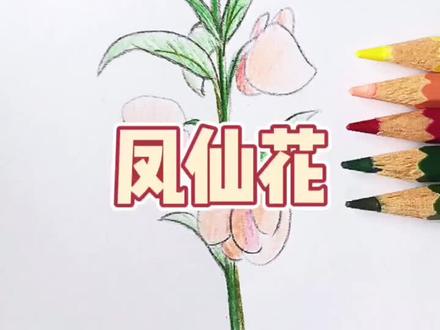 🍓教你画凤仙花#简笔画 #画画 #随手画