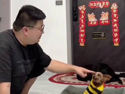 哈哈哈摸摸哥成功被外教老师咬到 #摸摸哥名场面 #dou+上热门