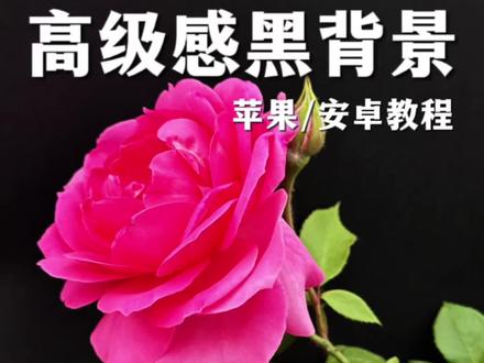 高级感的黑背景怎么拍,手机摄影技巧一条视频教会你#创作者中心 #创作灵感 #手机摄影 #手机摄影技巧 #黑背景拍摄技巧
