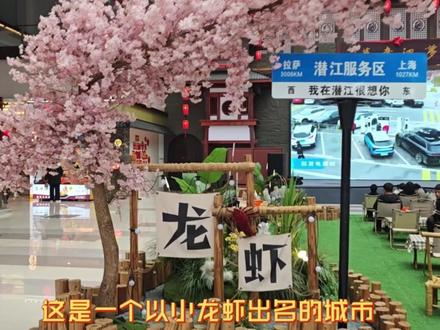 【汉L旅行日记】利用元旦假期开着汉L去旅行,武汉至荆州,全程高速智驾体验,顺便分享一下高速油耗。#比亚迪汉L#旅行vlog #荆州