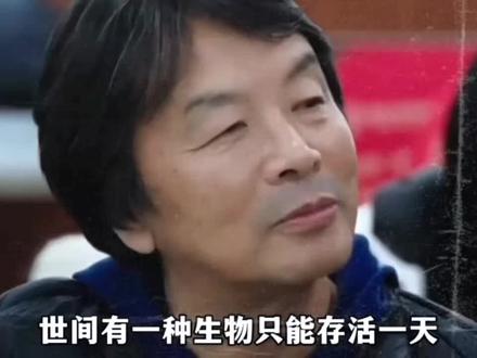 活在当下才是最有意义的#刘震云#一句顶一万句 #人生感悟 #活着就好