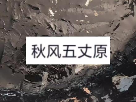 悠悠苍天,何薄于我!#秋风五丈原#诸葛亮#三国#意境#画画