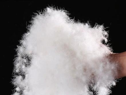 我不知道为什么会有这么多人受骗!也不知道我坚持发这些假货羽绒服的意义在哪里了!#羽绒服 #鹅绒服