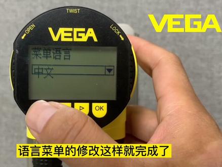 #VEGA 仪表的通用设置 | 如何修改仪表的语言菜单?#仪器仪表 #传感器 #智能制造