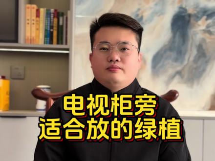 电视柜旁适合放的绿植#绿植 #每日分享 #家居布局