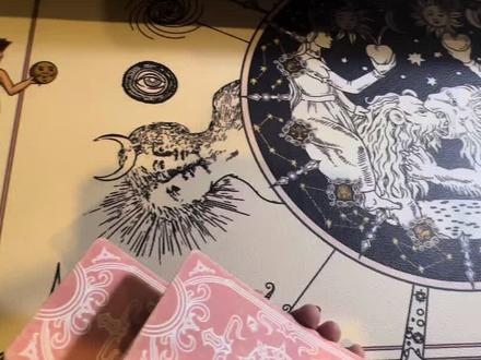 周柯宇性格和2026年发展#塔罗 #周柯宇 #狙击蝴蝶