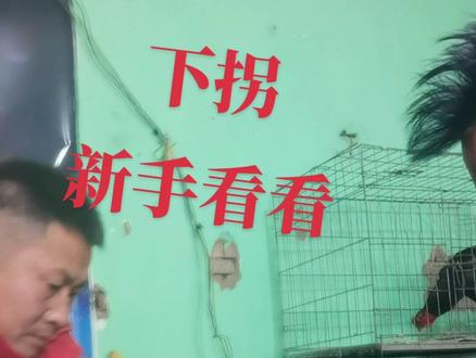 #斗鸡下拐,新手好好学习