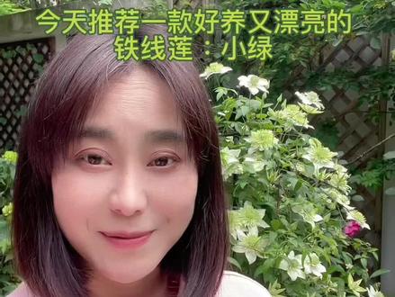 今天推荐一款好养又漂亮的F系的铁线莲:小绿#铁线莲 #治愈系 #陆陆的花园