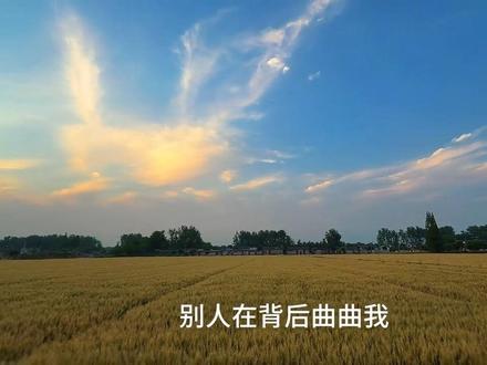 “吾日三省吾身 吾没错”#治愈系风景 #拒绝内耗