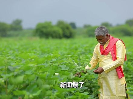 印度起飞注定失败,一袋尿素卡死大国野心 #印度 #财经 #经济 #零距离看懂财经 #燃起来了大国重器