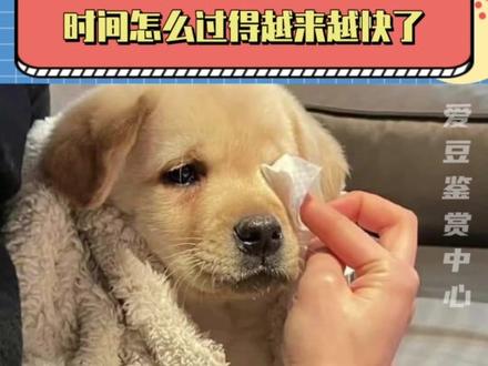 好快,时间到底被谁偷走了#生活 #真实 #离谱 #距离2024年已经不到4个月了