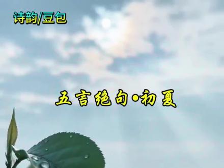 五言绝句•初夏其一 #创作灵感 #田园诗词 #小麦成熟时节 #镜头下的自然诗意