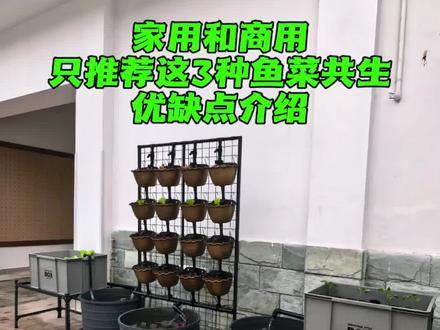 三种鱼菜共生方式 总有一种满足你的需要#鱼菜共生 #阳台种菜
