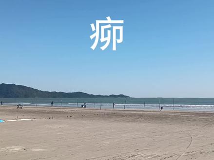 傻瓜的意思-𤵠#海丰方言 #海丰福佬话 #海丰学佬话