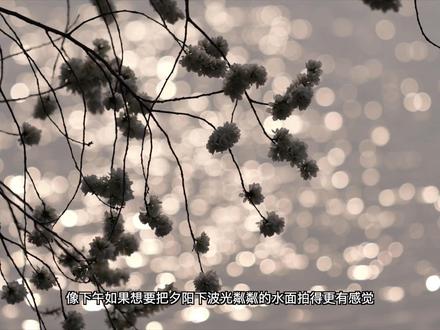 新手必看:春日拍花完整攻略 最近我用松下S5M2X和70-200mm F2.8在北京拍摄了很多春天的照片,这期视频为大家带来一期春日拍花的完整攻略。
#摄影 #春天拍花 #摄影攻略 #松下S5M2 #松下70200