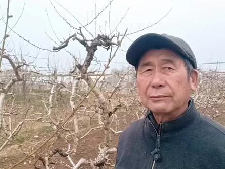 多效唑是花前打好,还是花后喷施好?
#上热门🔥 #桃树管理#桃树控旺#桃树花期管理