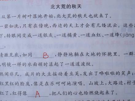 三上语文课外阅读训练(4)——北大荒的秋天,一副迷人的油画图!#萌知计划 #阅读理解 #三年级上册语文