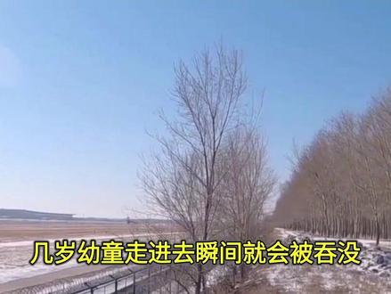 49条航线“熔断”当天!日航再传噩耗:约7千人滞留,外交部说准