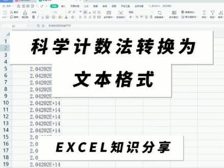 科学计数法转换为文本格式的操作,为系统导出数据做整理匹配。#office办公技巧 #excel技巧 #wps #办公技巧 #excel基础教学