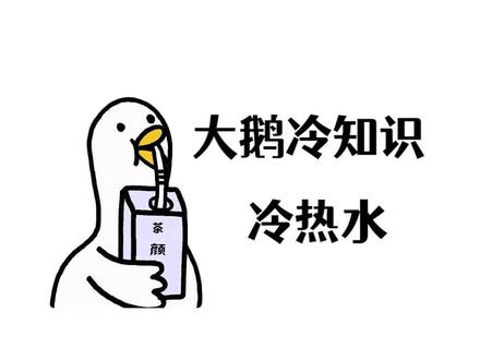 谁教的,白洗了 #冷知识 #洗脸