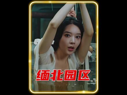 缅北园区真是的样子#左下角看全集