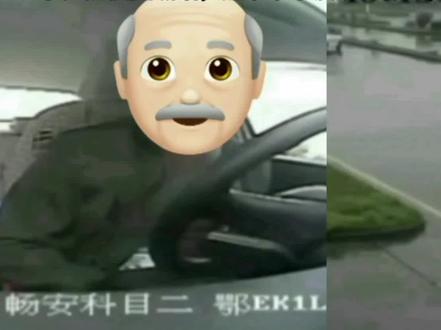 大爷非暴力不合作,学教考三方无赢家#考驾照