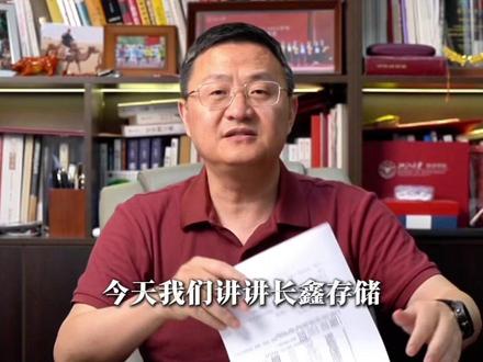 谁在背后持有长鑫存储?#经济