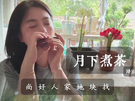 江海万里,心中有你便不觉遥远。#月下煮茶 #给阿嬷的情书 #口琴