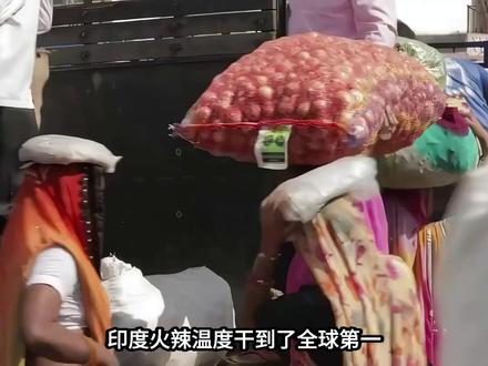 印度热到50度,蚊子都热死了,但印度人的操作更离谱