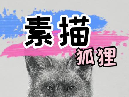 小狐狸🦊#素描 #画画 #素描动物 #狐狸